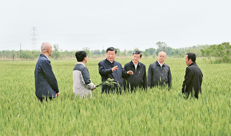 2023年5月11日至12日，中共中央總書(shū)記、國家主席、中央軍委主席習近平在河北考察，并主持召開(kāi)深入推進(jìn)京津冀協(xié)同發(fā)展座談會(huì )。這是11日上午，習近平在滄州市黃驊市舊城鎮仙莊片區旱堿地麥田考察時(shí)，同種植戶(hù)、農技專(zhuān)家親切交流。 新華社記者 李學(xué)仁/攝