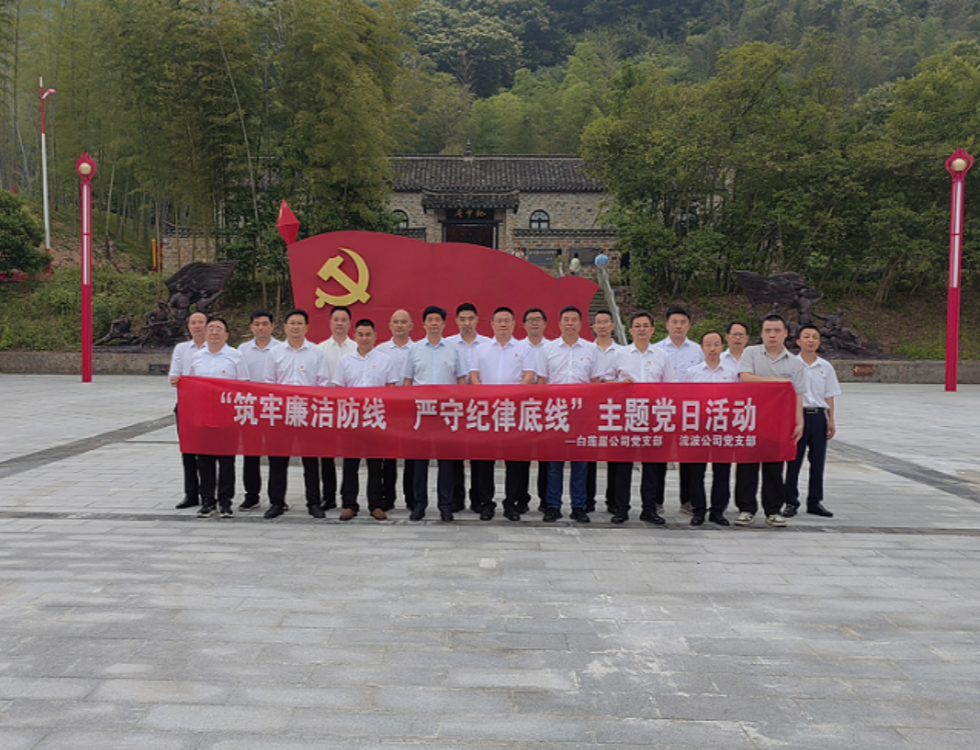 白蓮崖電站、流波電站_副本.png